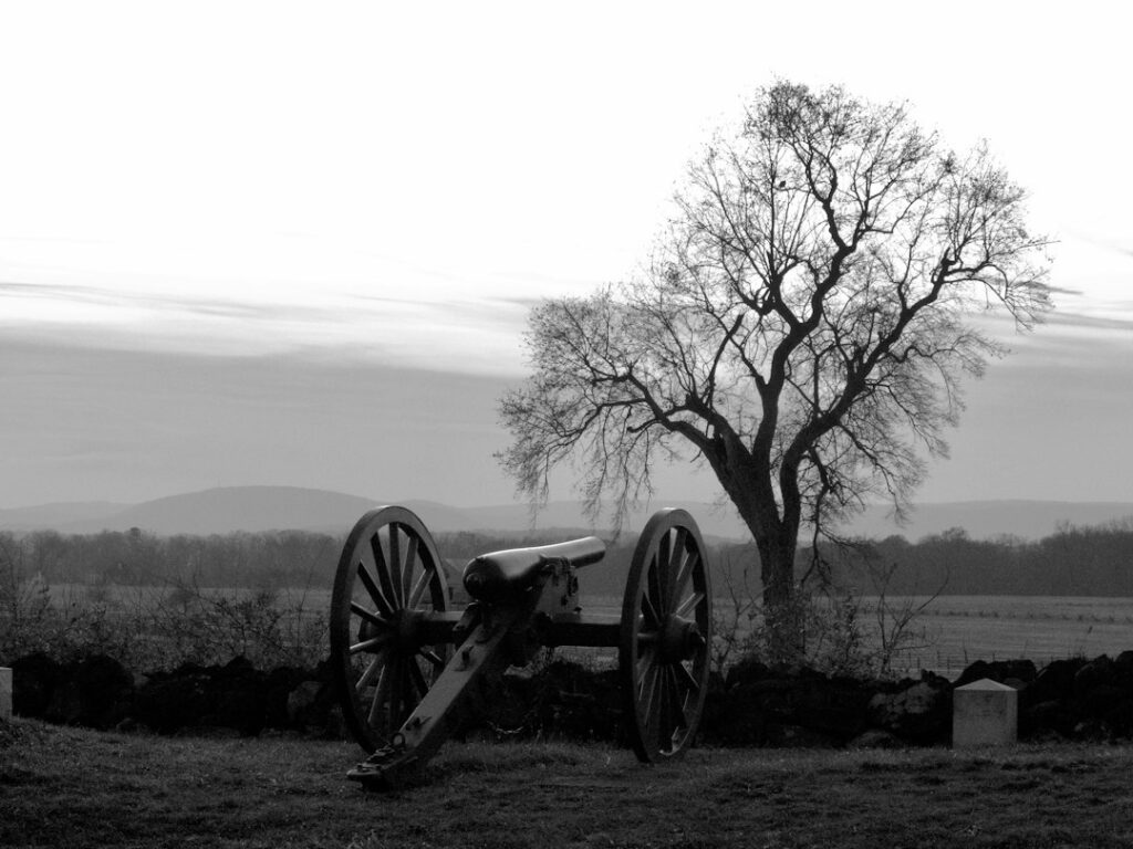 A vintage cannon stands in front of a lone, bare tree in a grayscale landscape.